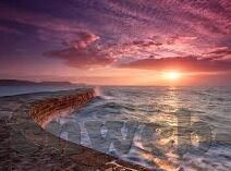 乐鱼体育在线网站登录-乐鱼体育在线网站登录——便捷体验与安全保障的共存之道