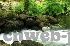 中国竞彩足球比分直播-中国竞彩足球比分直播，实时追踪赛事，点燃球迷激情
